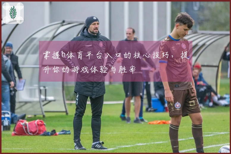 掌握b体育平台入口的核心技巧，提升你的游戏体验与胜率